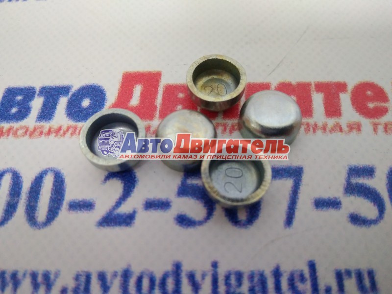 Пробка расширительная 3900955 Cummins ISBe, ISFe
